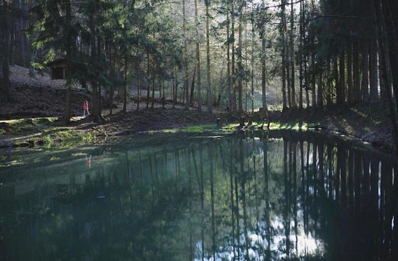 Ferienhaus "Baeren Ecke" Am See Im Bergland Kirchheim  Εξωτερικό φωτογραφία